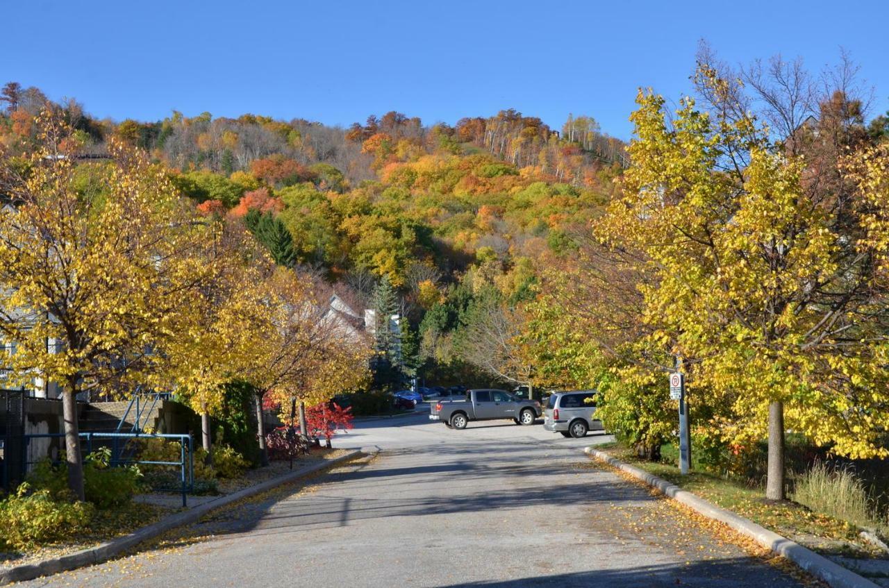 Mountain Springs Resort Blue Mountains Buitenkant foto